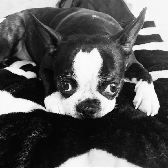 Meet your Posher, Roxanne - Picture 1 of 1